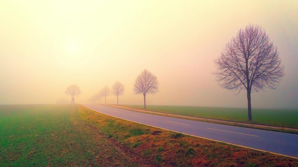 Mindfulness, Rust, Kalmte, Anzurea
